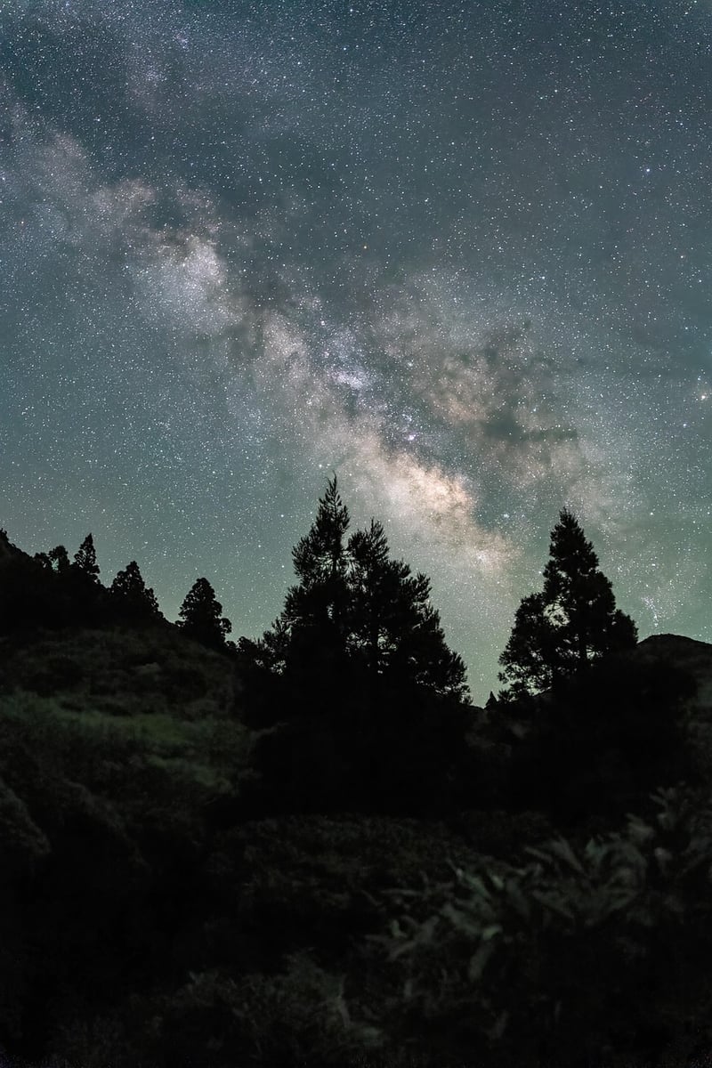 Starlit Pathway